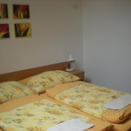 Penzion Barina Dolní Dunajovice Cameră foto