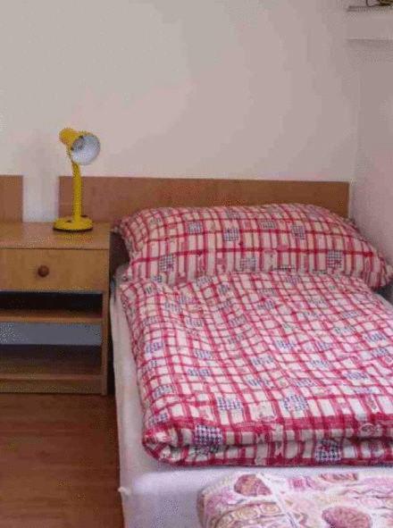 Penzion Barina Dolní Dunajovice Cameră foto