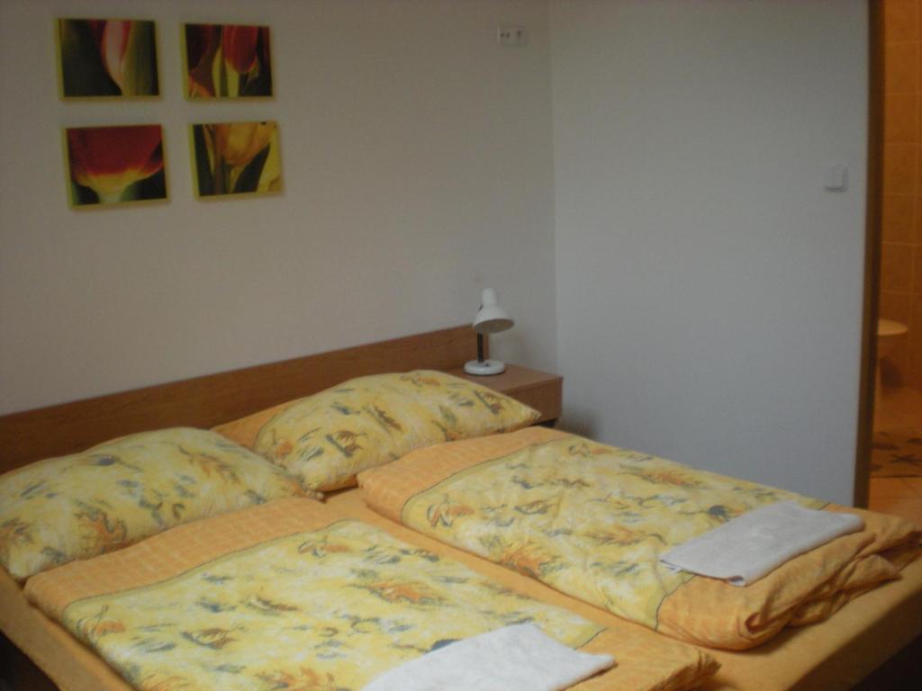 Penzion Barina Dolní Dunajovice Cameră foto